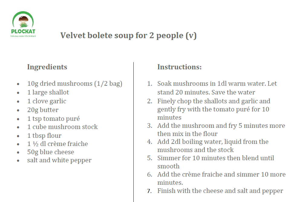 velvet bolete soup ENG